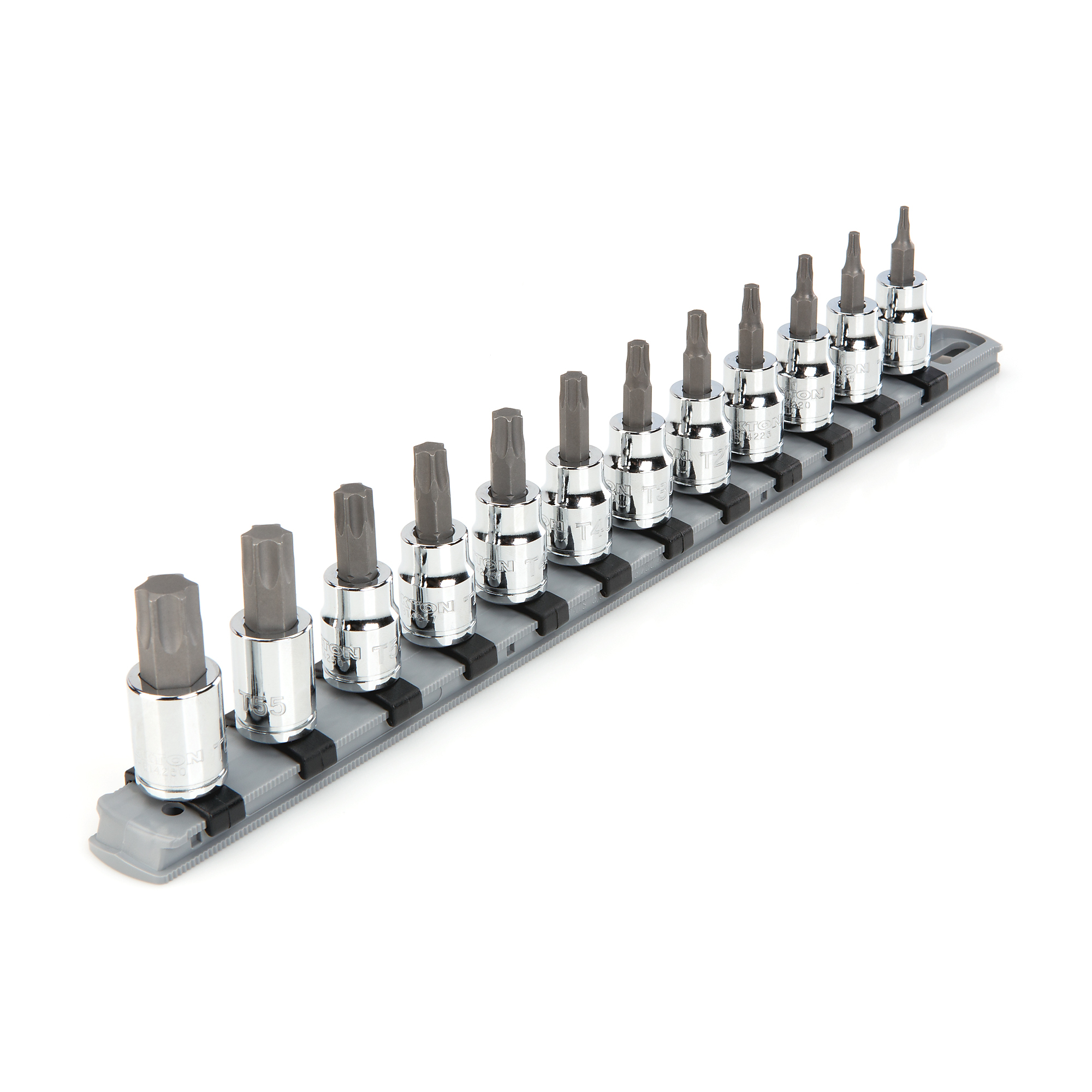 TEKTON 3/8 Inch Drive Torx Bit Socket Set with Rail, 12-Piece (T10 - T60) | SHB91103
